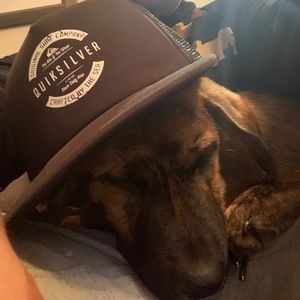 Meet your Posher, Wally